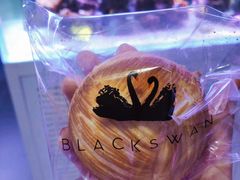 -BLACKSWAN黑天鹅(环球店)