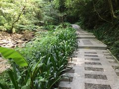 -江西阳明山国家森林公园