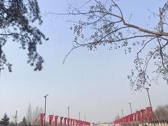 -汉长安城未央宫国家考古遗址公园