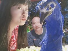 -品德宏·孔雀宴的发源地(金塔园店)