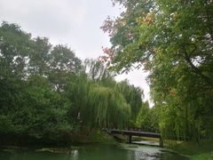 -尚贤河湿地