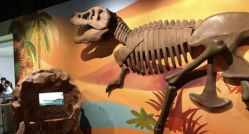 -北京科学中心儿童乐园