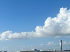 -吴淞炮台湾湿地森林公园烧烤区