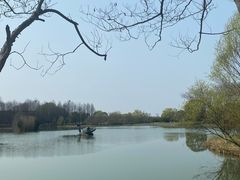 -苏州太湖国家湿地公园