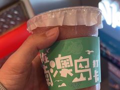 -南澳岛打卡果汁冰公司