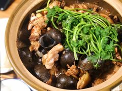 -食爺炭炉鸡煲·烧烤