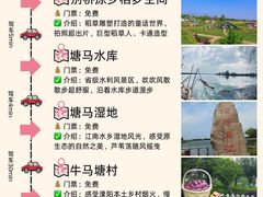 -紫藤园·天目湖大鱼头(南山竹海店)