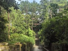 -梦姑塘文化公园