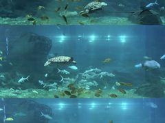 -福州罗源湾海洋世界旅游区
