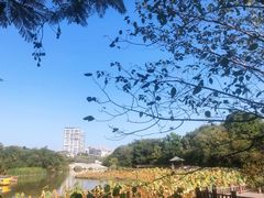 -金山公园