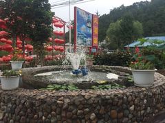 -龙福源密云水库灶台鱼