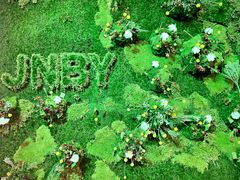 -精绝七日-新疆尼雅遗址数字大展【拉法耶文化艺术中心】