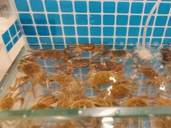 -元一希尔顿酒店·禅自助餐厅·啤酒花园