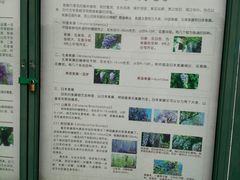 -嘉定紫藤园