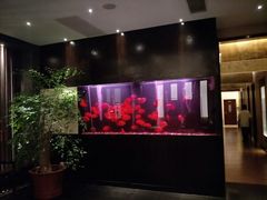 -大唐盲人按摩中心(黄山路店)