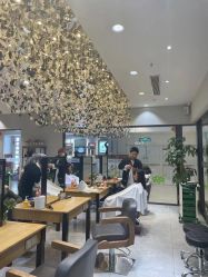 -京世沙龙
