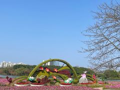 -海珠湖公园