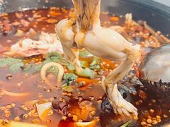-鸿顺老铁锅美蛙鱼府(解放碑店)