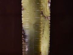 -金沙遗址博物馆