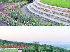 -紫云台香草园