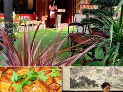 -山水茶艺馆·点心粤菜·30年老字号