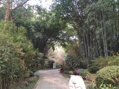 -望江楼公园
