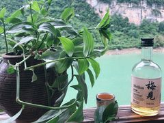 -乌江画廊(彭水苗族土家族自治县)