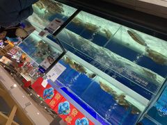 水产区-盒马鲜生(和谐广场店)