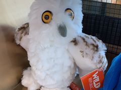 -ZOO COFFEE动物园咖啡(望京锐创店)