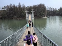 -东湖落雁景区