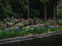 -上海滨江森林公园