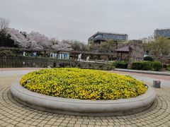 -嘉定紫藤园