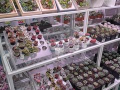 -KKV(天津津南吾悦广场店)