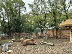 -武汉动物园