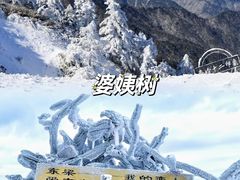 -朱雀国家森林公园