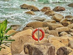 -广东惠东海龟国家级自然保护区