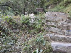 -北京鹫峰国家森林公园