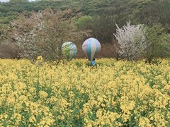 -苏州上方山国家森林公园