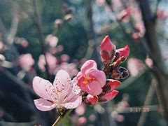 -昭山风景名胜区