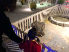 -zoonana室内动物园(东方福来德店)