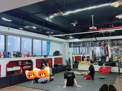 -温鉴良实用咏春拳