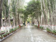 -艾提尕尔清真寺