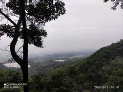 -大奇山国家森林公园