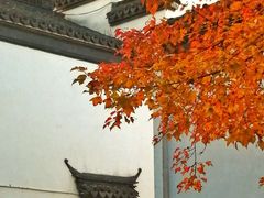 -秋霞圃