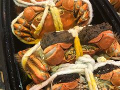 -黄记大闸蟹专卖店·活蟹·醉蟹