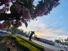 -东港音乐喷泉广场