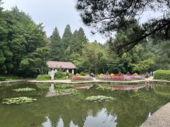 -庐山风景区花径公园