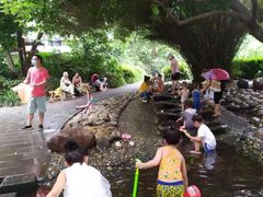 -成都市活水公园