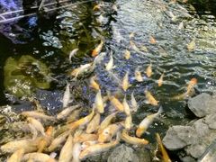 -大天然酒店(军民路店)