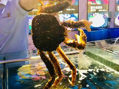 -蟹之国·精品蟹料理(极地店)